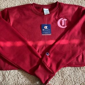 Champion cropped hoodie